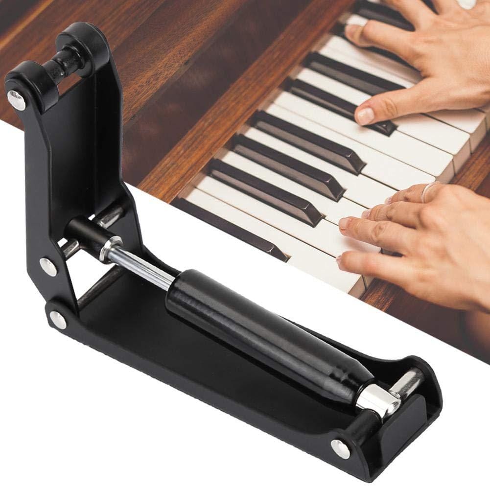 Rotary Dampers in Musical Instruments, Laboratory Equipment, and Vending Machines 1 piano lid soft close device 1